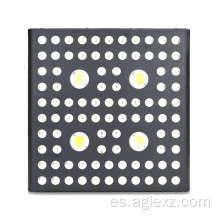 Custom Cree Grow Light Potente 2000w